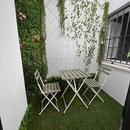Larios Centro Apartamento *